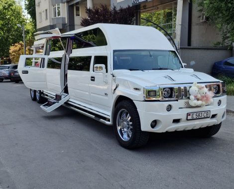 IMG-e0b342d0fa18d6a00dc37333a5eb5b34-V